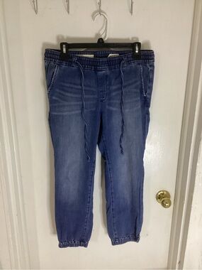 Anthropologie Pilcro The Letterpress Denim Joggers Size Small